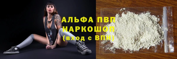 гашик Абаза