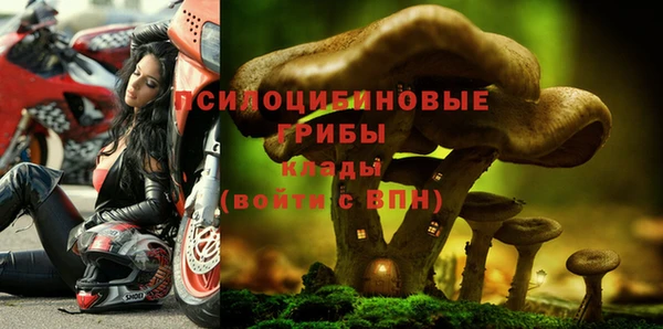 гашик Абаза