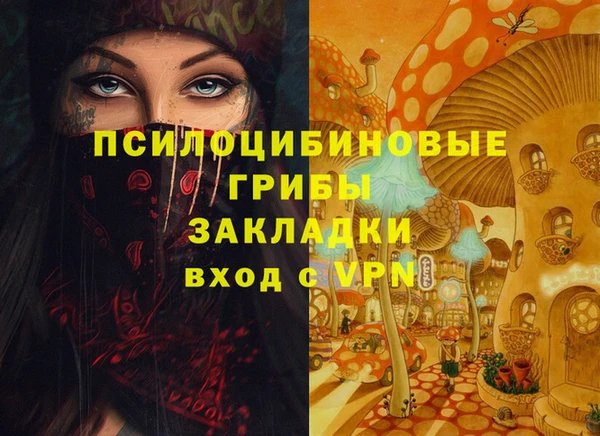 гашик Абаза