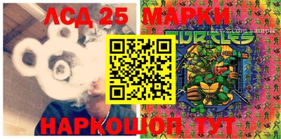 гидропоника Краснокаменск